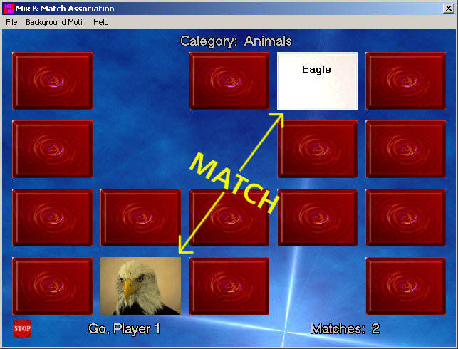  Match Association Screenshot